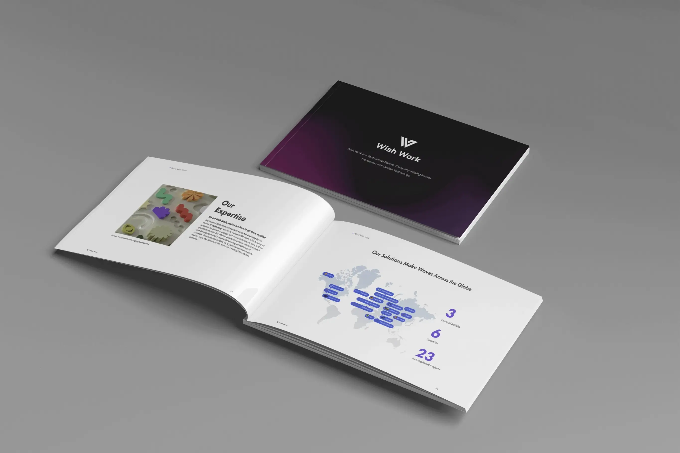 Wish Work case studies book 2024